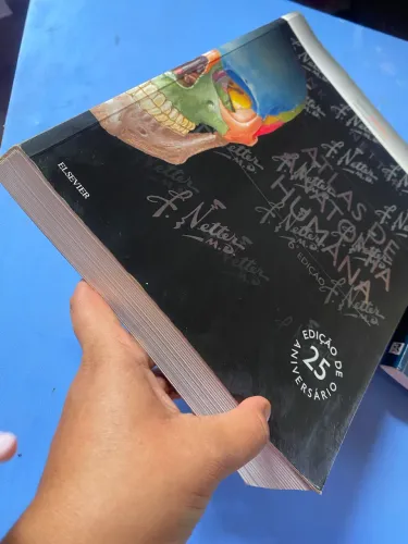 Atlas de Anatomia Netter sexta edição 