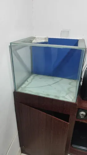 Aquário 100 Litros 