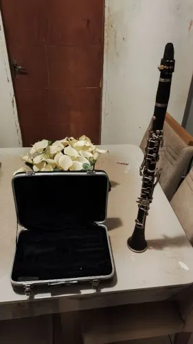 Clarinete shelter