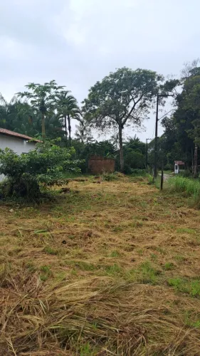 Vendo terreno em Mosqueiro, medindo 10x40