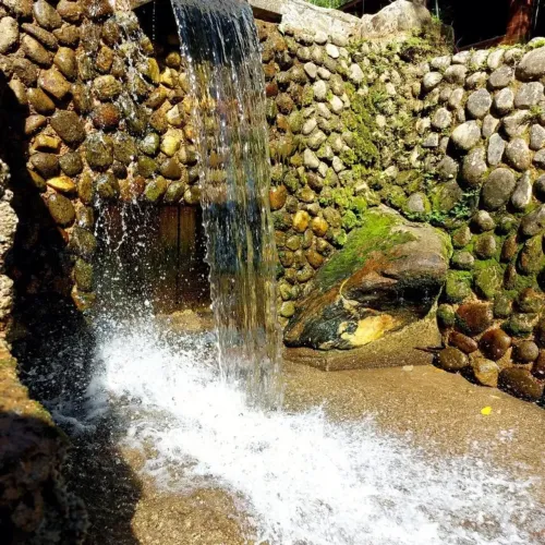 Imóvel para venda tem 10100 metros quadrados com 5 quartos em Caneca Fina - Guapimirim - R