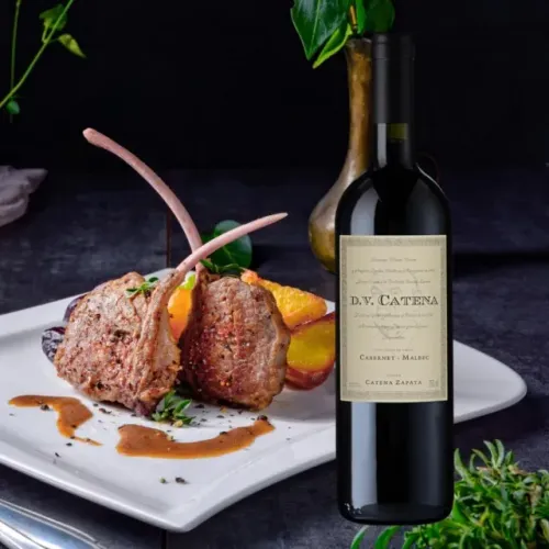 ? DV Catena Malbec - Um Ícone dos Vinhos Argentinos