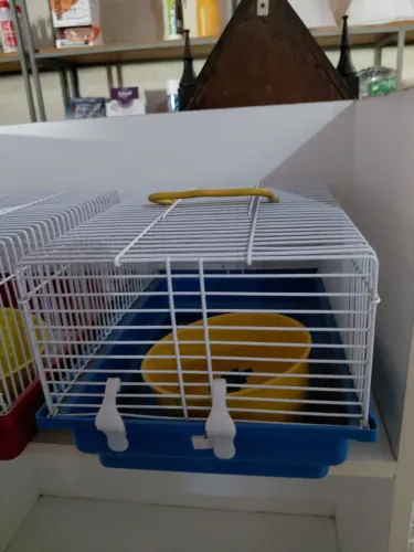 Gaiolas para ramister 60 reais