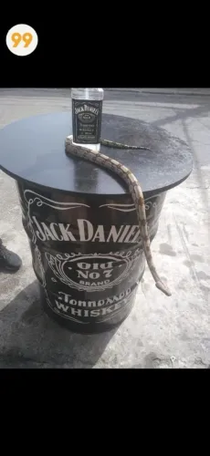 Vendo tambor mesa