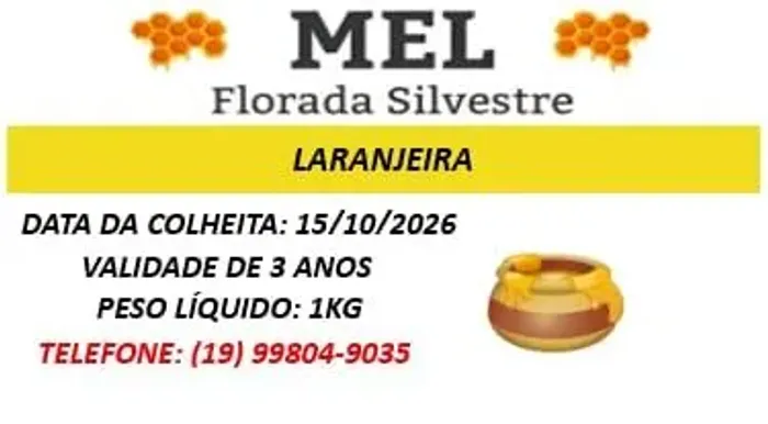 Mel 100% natural