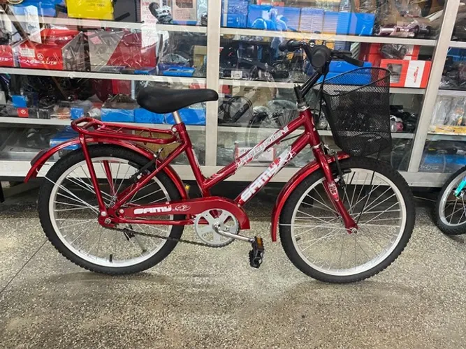 Promoção - Bicicleta Samy Lady aro 20 nacional
