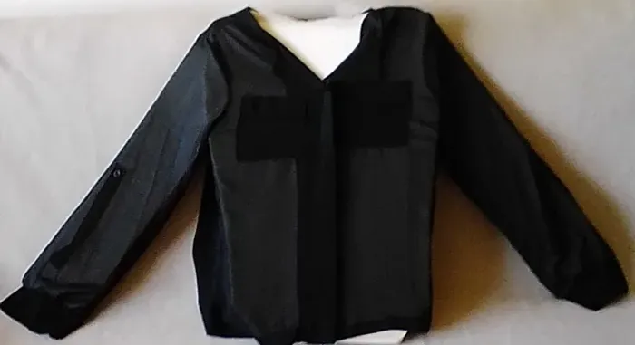 Blusa de seda feminina, transparente, sexy, Cor preta. Manga comprida, sem botões frontais