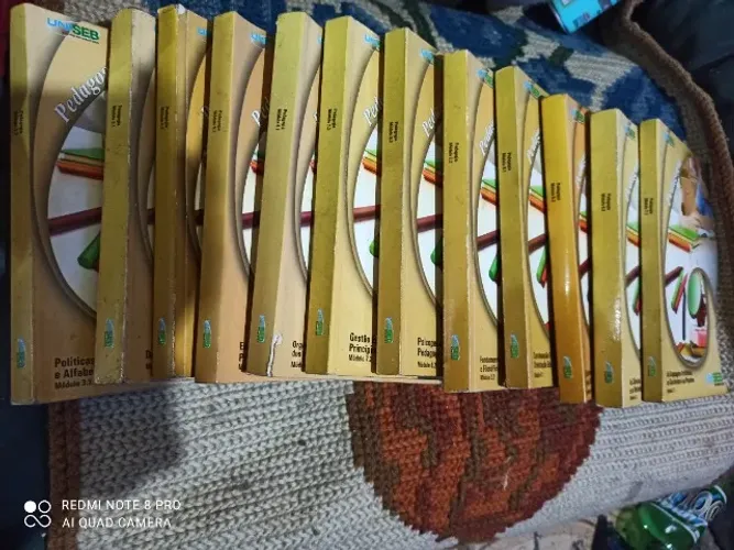 15  de livros  de pedagogia