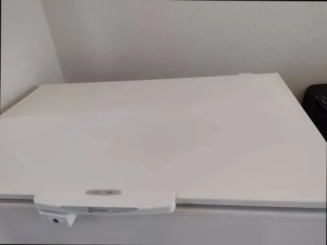 Freezer Electrolux 314 Litros Conservada