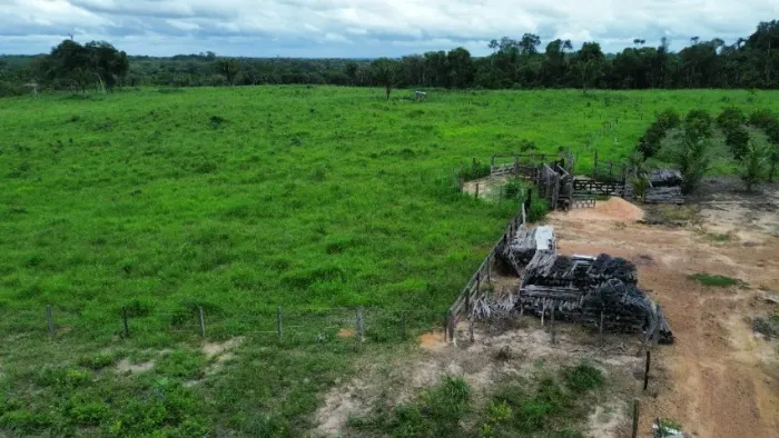 fazendinha com 28 hectares já em pasto 300 mil reais há 84 km de Belém 