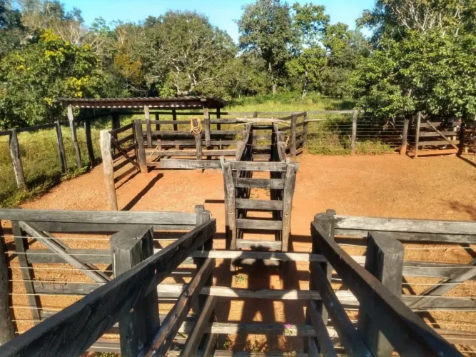 Ótima fazendinha em Minaçu 