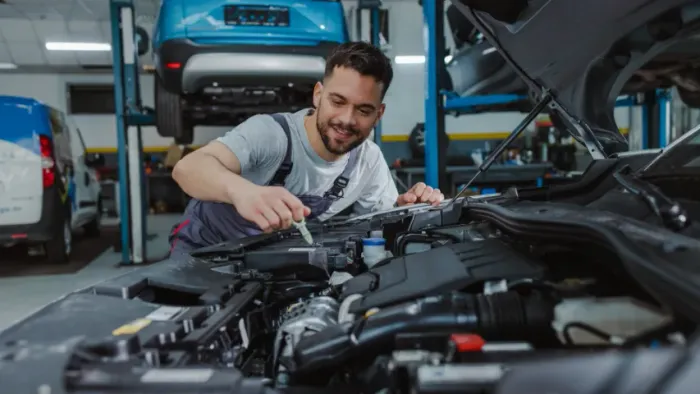 Empresa no Segmento Automobilístico à Venda