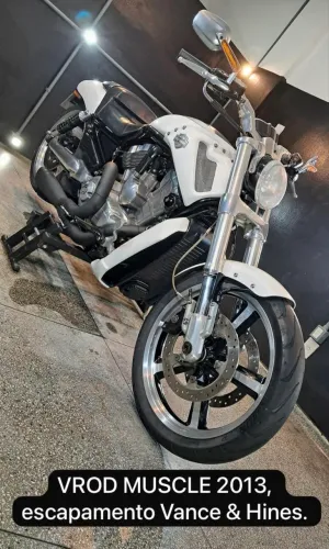 HARLEY DAVIDSON VROD MUSCLE