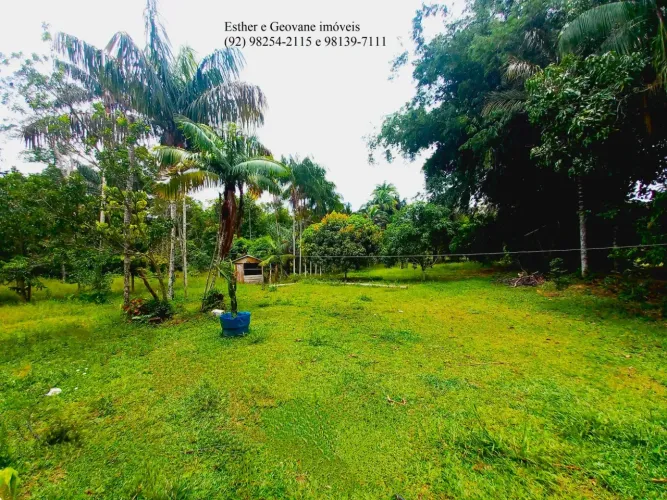 Sítio Terreno Chácara Casa Estrada de Céu Tarumã Manaus-AM  7.433m²