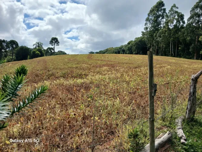 Chácara 3.6 alqueires Lapa PR