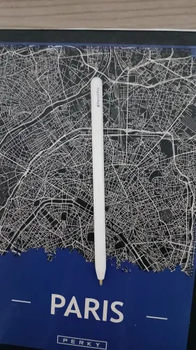 APPLE PENCIL PRO SEM PONTA