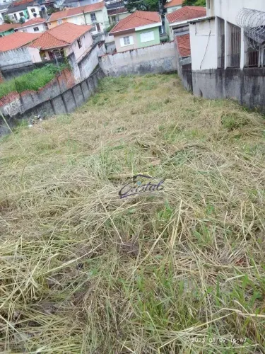 Terreno à venda, 400 m² por R$ 1.100.000,00 - Jardim Bonfiglioli - São Paulo/SP