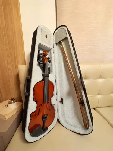 Violino