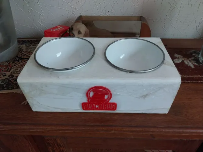 Comedouro elevado para pets totalmente lavável