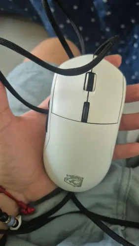 Mouse