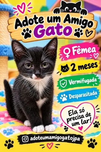 Filhotes de gato para adoção responsável!