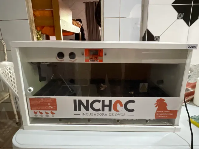 Incubadora de ovos