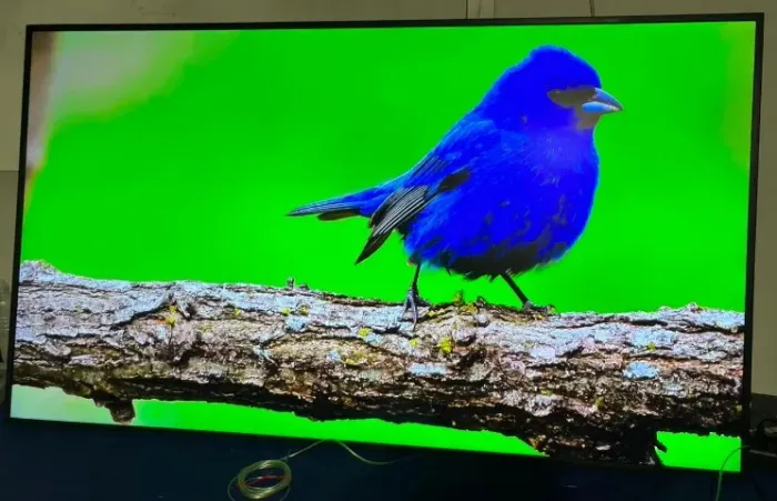TV Samsung QLED 65 POLEGADAS 4K