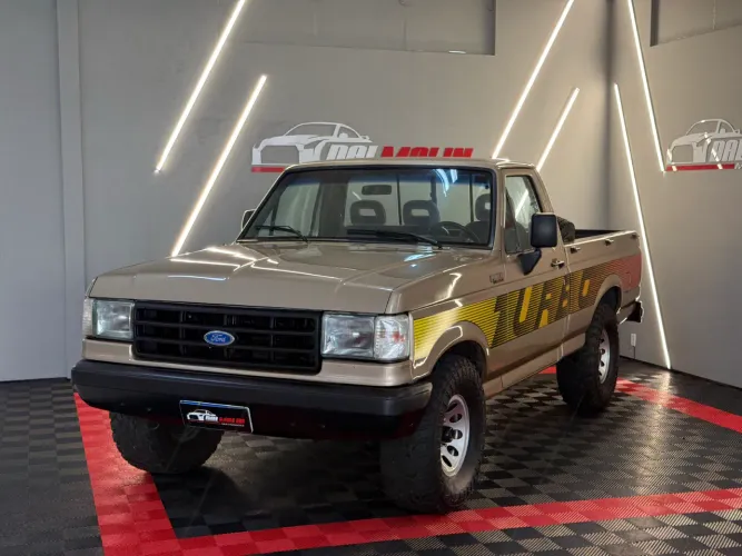 Ford F-1000 Super Serie CE 4.9/3.6 1995