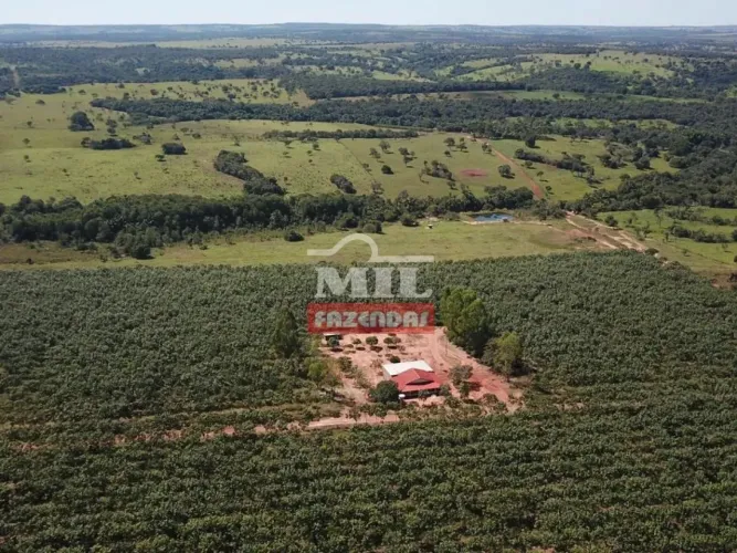 Fazenda 40 alqueires (193 hectares) Cachoeira de Goias - GO