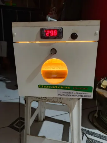 Chocadeira elétrica 