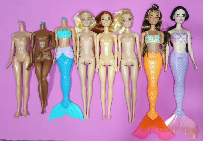Belo lote de Barbie e Ken