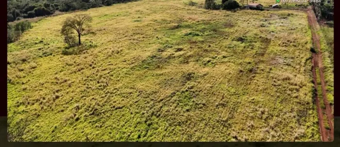 Aluguel de pasto