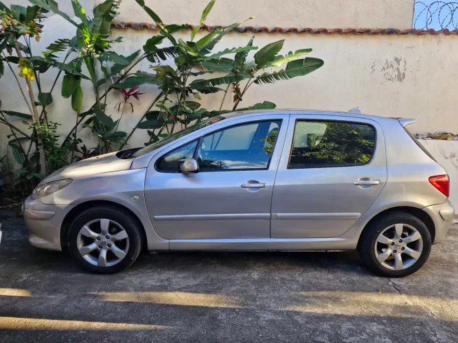 Peugeot 307 Soleil/ Presence 1.6/1.6 Flex 16V 5P 2012