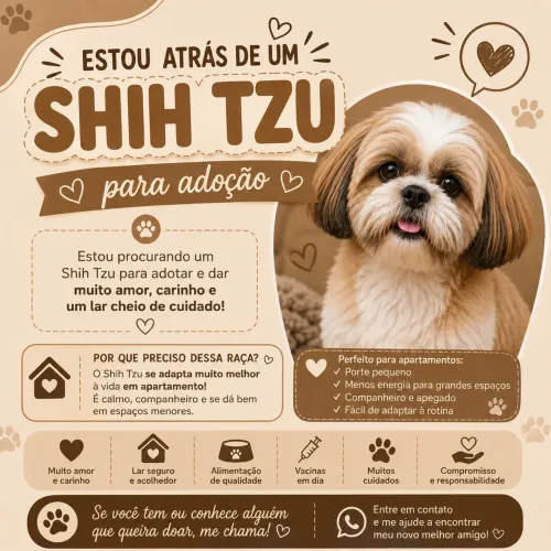 Shih tzu