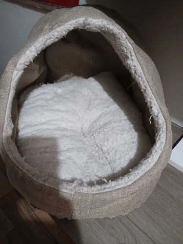 Caminha toca pra gato