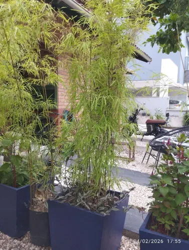 Floreiras 50x50 concreto lindas