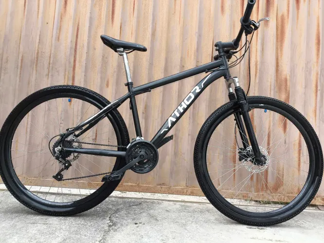 Bike aro 29