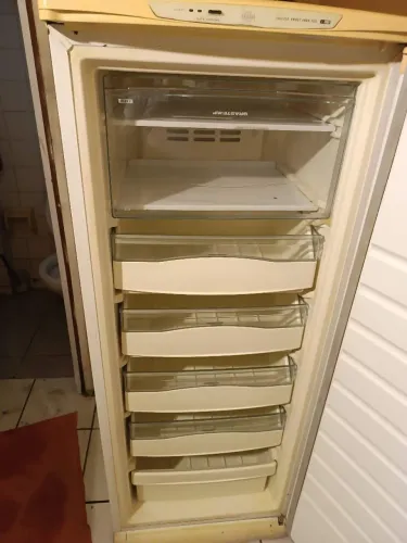 Freezer Frost Free - 220L