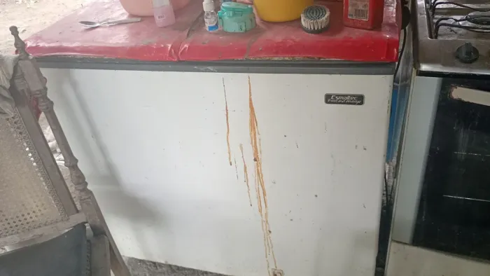 Vendo furgão e frize na promoção