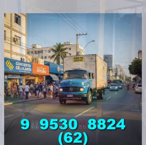 Mudança com preço justo e transporte rápido! Entre em contato: 62?9?9530?8824