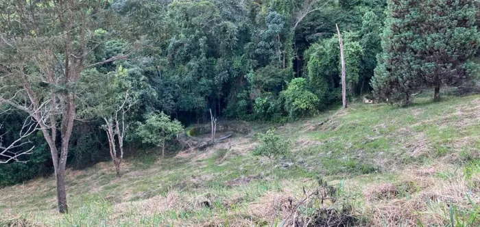 Chácara com platô de 600m2 pronto para construir, Delfim Moreira/MG