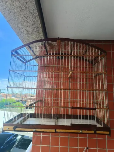 Gaiola usada.