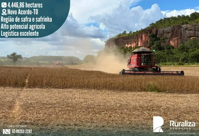 FAZENDA PRODUTIVA | 34 KM DE NOVO ACORDO | 120 KM DE PALMAS