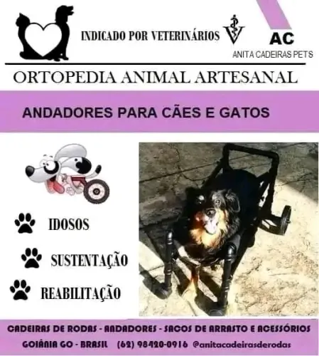Cadeiras de rodas para cães e gatos