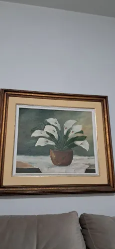 Tela
