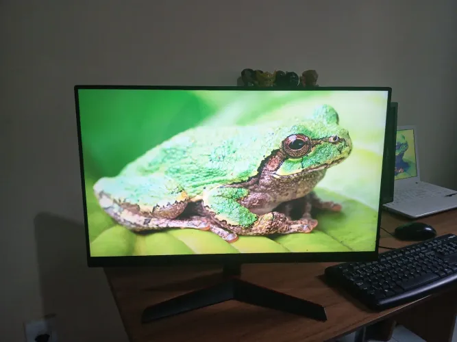 Monitor lg 24p 144hz