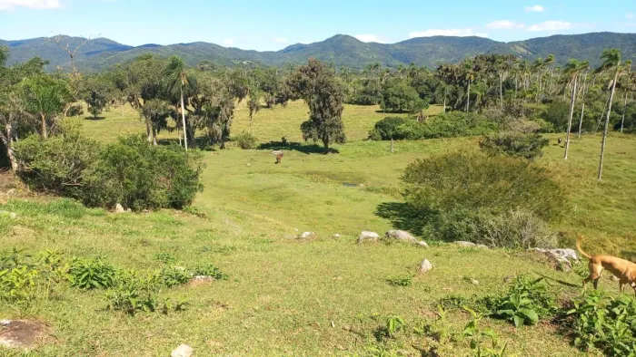 Terreno para Venda em Florianópolis, Ratones