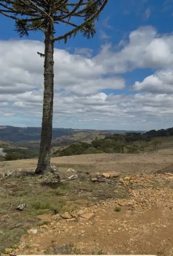 TERRENO À VENDA (CHÁCARA)  SÃO JOAQUIM/SC