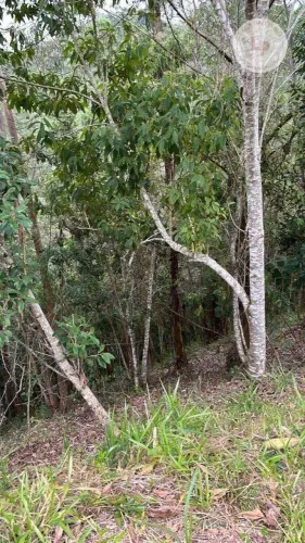Terreno à venda, 901 m² por R$ 200.000,00 - Capital Ville - Jundiaí/SP