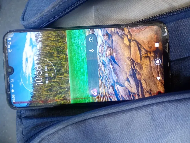Celular